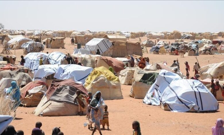 تفاصيل كارثة إنسانية بمكجر: سوء تغذية حاد يهدد أطفال دارفور